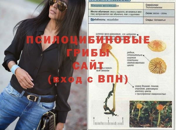 apvp Алексин