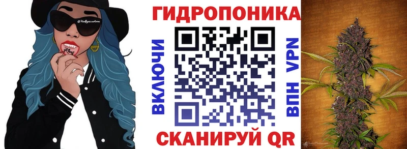 наркота Архангельск Бошки марихуана конопля